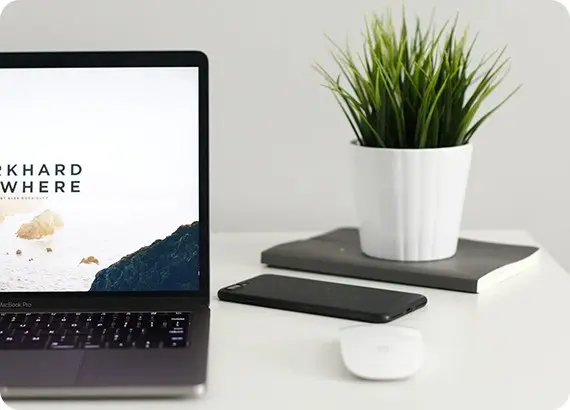 Aufgeräumter Arbeitsplatz mit Laptop, Smartphone und Pflanze